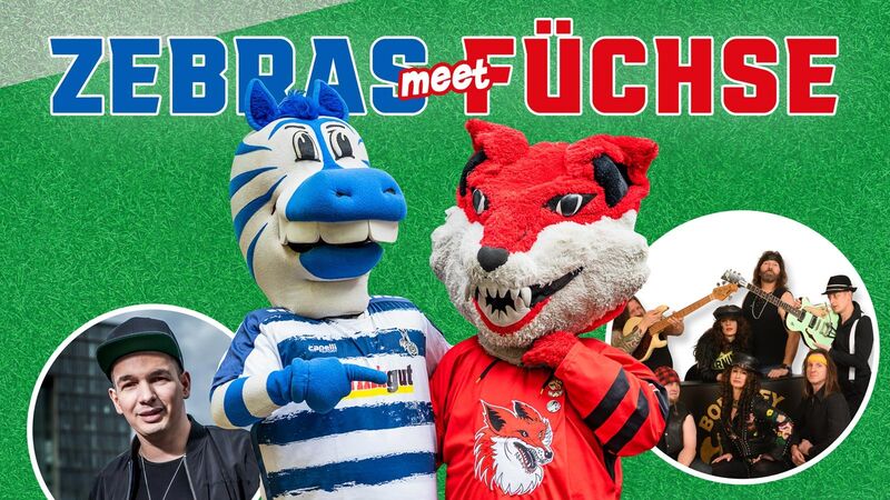 Zebra- und Fuchs-Maskottchen posieren fröhlich vor grünem Hintergrund, flankiert von Musikern und einem jungen Mann.